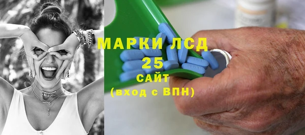 прущие грибы Гвардейск