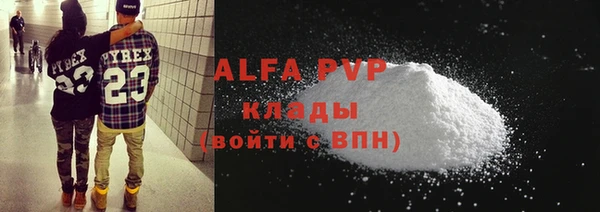 Альфа ПВП Няндома