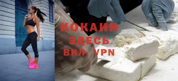 Альфа ПВП Няндома