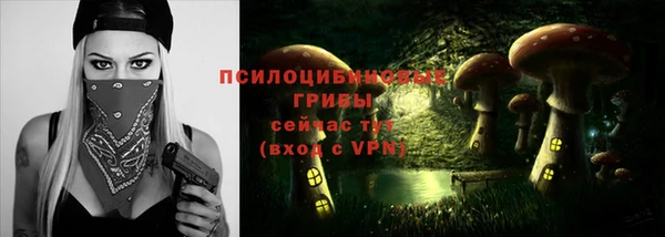мдпв Осинники