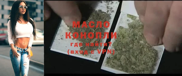 Альфа ПВП Няндома