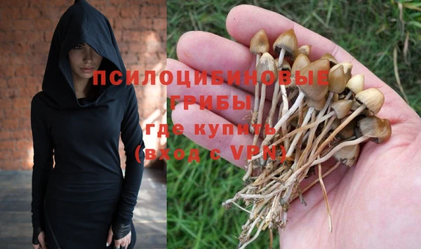 Альфа ПВП Няндома