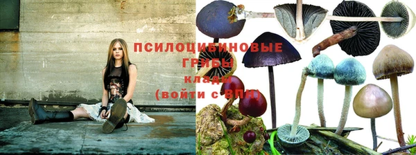 Альфа ПВП Няндома